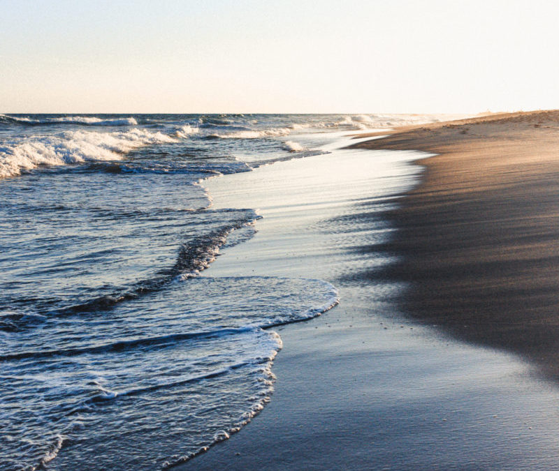 Frente al Mar